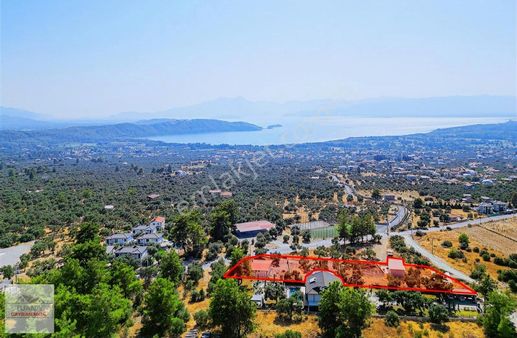 Tuana Gayrimenkul'den Zeytinalanında Müstakil Evler