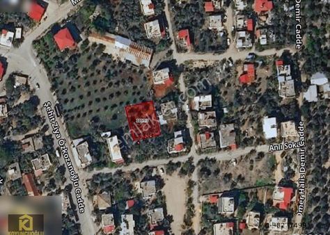 Koyuncuoğlu'ndan Türkelide Satılık Arsa, 24 Adet Zeytin Ağaçlı