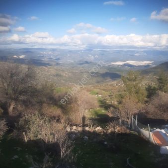 Milas Türkevlerin'de 660 M2 Müstakil Tapulu Tarla Satılık