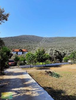 Milas Kalıağıl Köyünde Satılık Müstakil Ev!!!