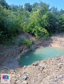 Dialog Yıldız Yenişehir Beypınar Köyü 5.650 Dönüm Satılık Tarla