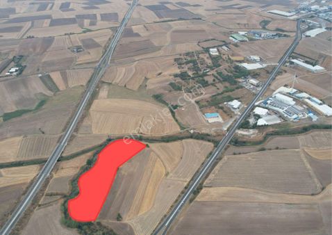 Tekirdağ Muratlı Ballıhoca'da Geniş 31.350 M² Satılık Arsa