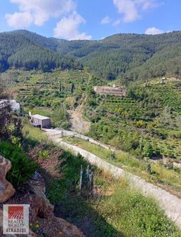 Yarina Yatırımlık Arazi