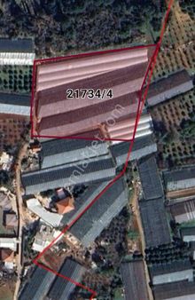 Yolu, Elektriği, Suyu Hazır Sera – Aşağı Karaman / Duraliler