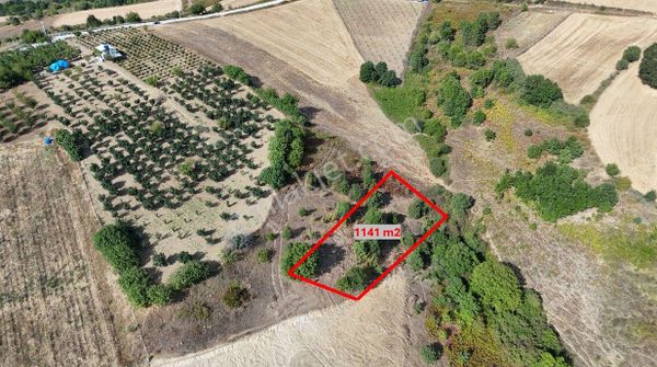 Acil! Deniz Gayrimenkul'den Avcıköy'de 1141 M2 Arsa