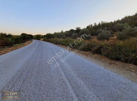 Manisa Yunusemre Avdal Mah Asfalt Yola 77 M2 Cepheli Yatırımlık