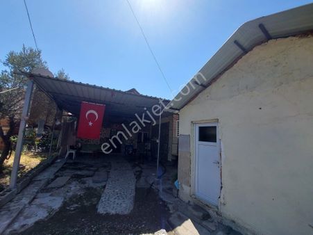 Muğla Dalaman Taşlıburun’da Doğayla İç İçe Bahçeli Yaşam Ve Yatırım Fırsatı!