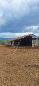 Savaş Gayrimenkul, Hazır Besi Çiftliği