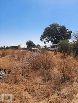 Başköy Mahallesin'de 4000 M2 Tarla Kiralıktır Çınar Emlak