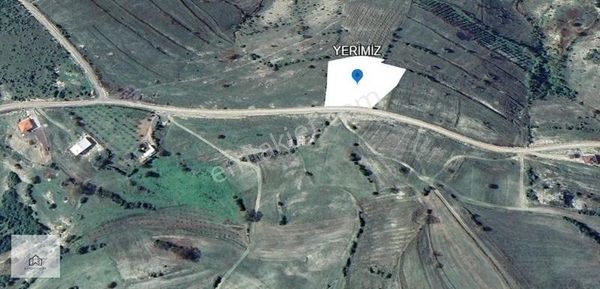 Kandıra Selametlide 5 Dönüm Asfalt Cepheli Arsa