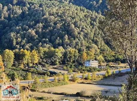 Yalova Duhan Emlak'tan Şenköy'de Satılık 261m2 Arsa