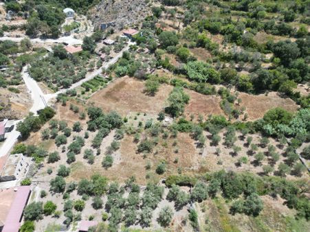 Joker: Marmaris Söğüt Resmi Yol Cepheli Yerleşim Alanında Satılık Tarla