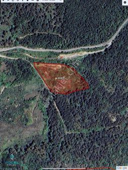 Çatalzeytin'de Denize 2 Km Uzaklıkta 8,772 M2 Tarla