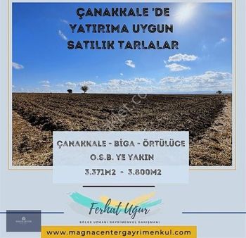 Magna Center Dan Biga Örtülüce De Yatırıma Uygun Satılık Tarla