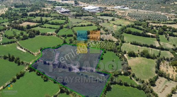 Aydın Karacasu Yeni Mahallesinde Satılık 13324 M² Bahçe