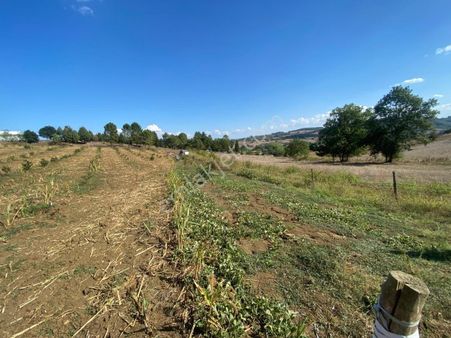 Sakarya Adapazarı Aşırlar Mahallesinde Fırsat Tarla
