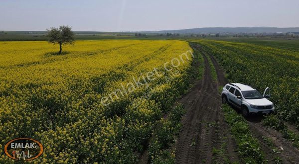 Gönen Buğdaylı'da Satılık Tarla
