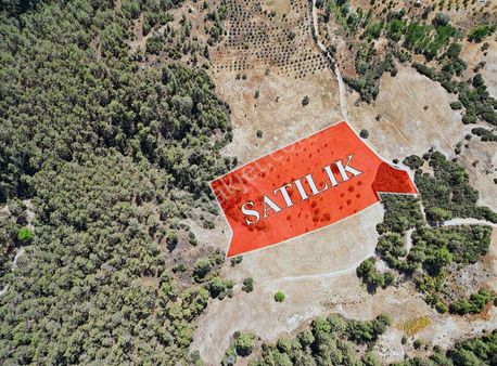 Dokuzçam'da 15 Dönüm Satılık Tarla-yol Cepheli Yatırımlık