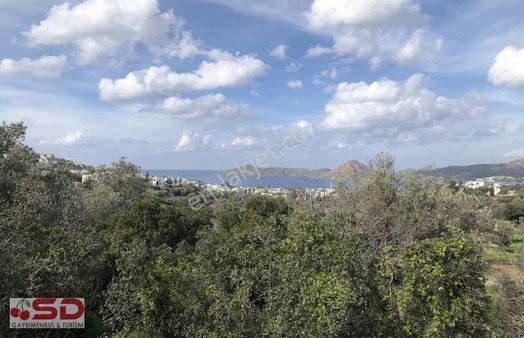 Bodrum Yalıkavak Gerişte Deniz Manzaralı 5.400 M2