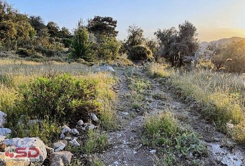 Söğüt Köy Merkezinde Yolu Olan Elektrik Su Abonesi Onaylı