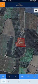 Bursa Orhangazi Yenigürle'de 5265m2 Resmi Yol Cephe Kupon Arazi