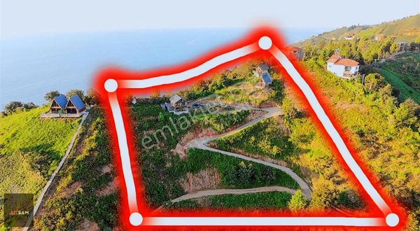 Artsam Grup'tan Oce'de Turizm İşletmesi + Restoran + Arsa