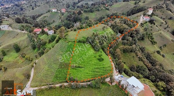 Artsam Grup'tan Işıklı Köyünde 8500m² Arsa ,yatırım Fırsatı!!