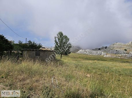 Feslikan Yaylasında İçinde Ev İle Satılık Arsa
