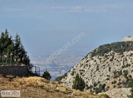 Çağlarca Da Antalya Manzaralı Yola Cephe İmarlı Arsa