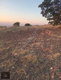 Baytürk'den Kadirçeşme'de Göl Manzaralı Satılık 5250 M2 Tarla