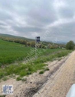 Toprak Emlaktan Aşşağıılıcada Anayol Kenarı Tarla Bahçe Yeri