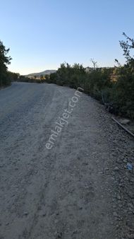 İznik Sarıağıl Mah. Ana Cadde Üstü Yatırımlık