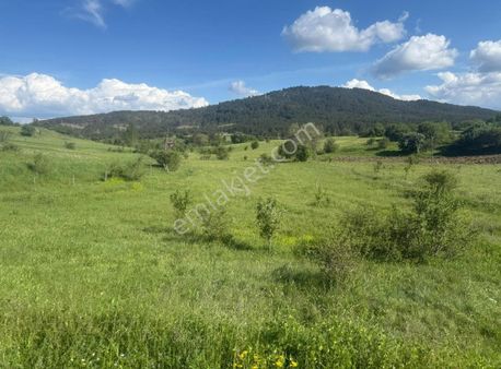 Yatırıma Uygun 394 M² Satılık Tarla