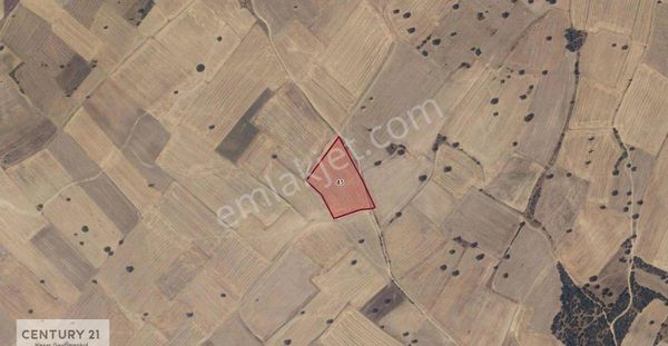 Century21|nexar'dan Edirne Enez Sultaniçe- Satılık 11400m2 Tarla