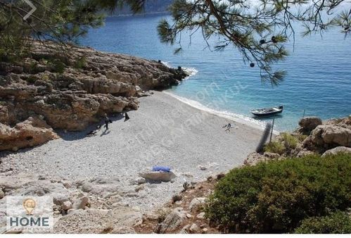 Home Gayrimenkul Den Fırsat Fethiye Seydikemer De 3797m2 Tarla