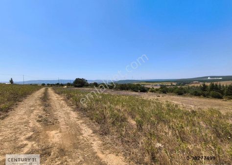 C21|nexar'dan Çatalca Kestanelik'te Ormana Komşu Mükemmel Arazi