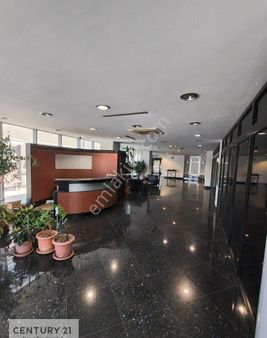 C21 Nexar'dan-hadımköy Caddesi-çift Cephe-6093 M2-fabrika&plaza