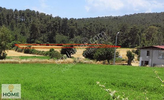 Home Gayrimenkulden Seydikemer De Yatırımlık 5.900 M² Arsa