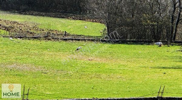 Home Gayrimenkulden Pendik Emirlide Fırsat Satılık 3600m2 Tarla