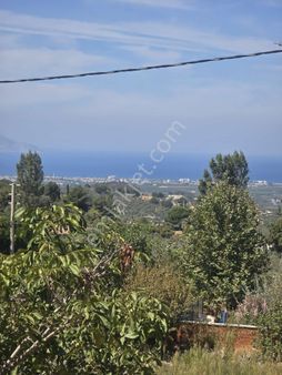 Full Deniz Manzaralı Tarla Ve Zeytinlik