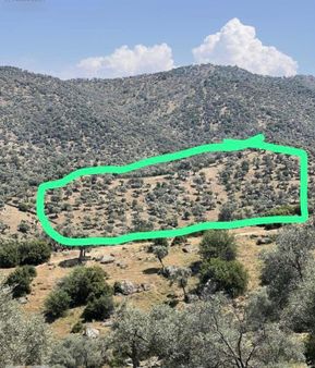 Aydın Çine De 16.555 M2 Lik Yatırımlık Tarla