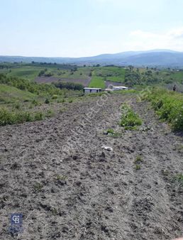 Balıkesir Susurluk Göbel'de Yatırım Fırsatı