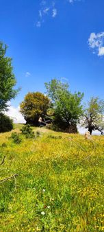 Aydın Çine Seferler Yatırımlık Arsa