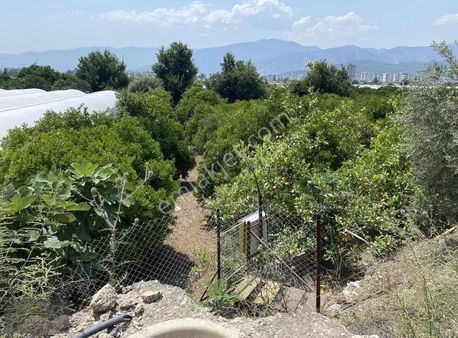 Karşıyaka Mahallesinde 2.000m2 Yol Ana Yol Kenarı Satılık Bahçe