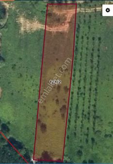 Bilgin Emlaktan Köy Merkezine Yakın Yollara Yakın Satılık Hobi Bahçesi