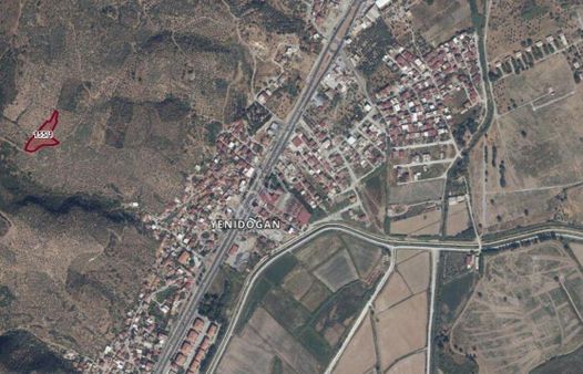 Söke Yenidoğan’da 4.326 M² Satılık Zeytinlik - Yatırımlık Tarla