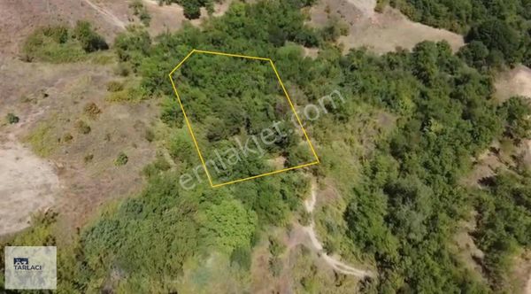 Mkp Hamidiyeköyü'nde 2100m Tarla