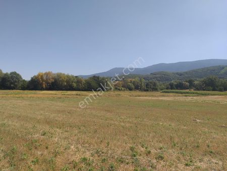 Bolu Hıdırşeyhler Satılık Tarla