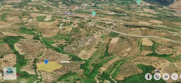 Orhangazi Ortaköy 'de Satılık Yola Cephe Bakımlı Zeytinlik
