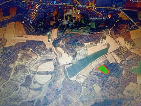 Güneş'ten Yenişehir Selimiye De Satılık Bağ